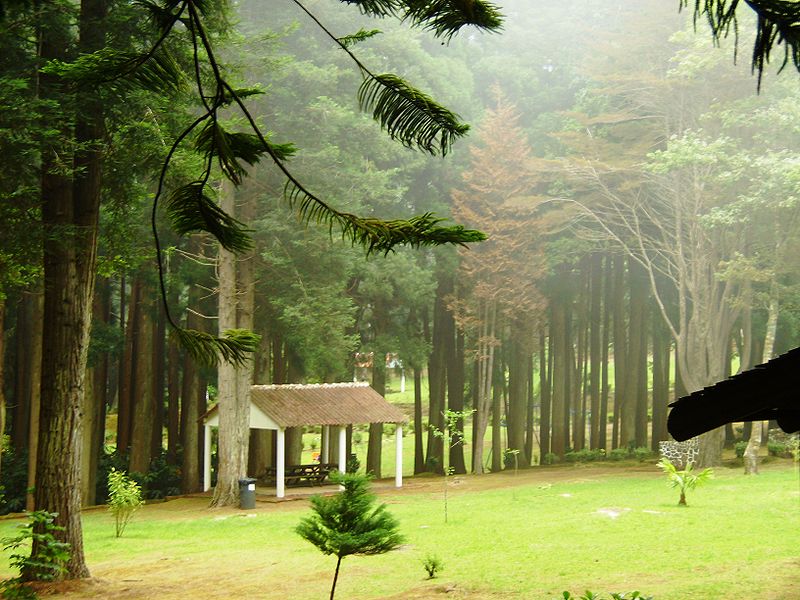 Recreational Forest Reserve of Fontinhas