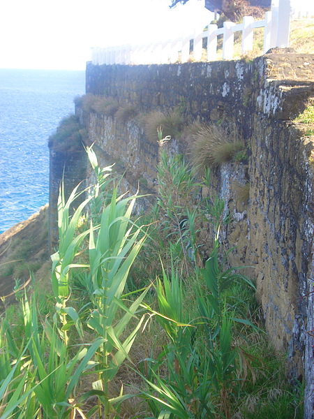 Fort of Greta