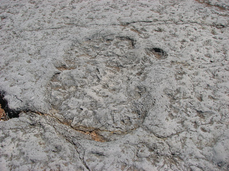 Huellas de Dinosaurio de Ourém-Torres Novas