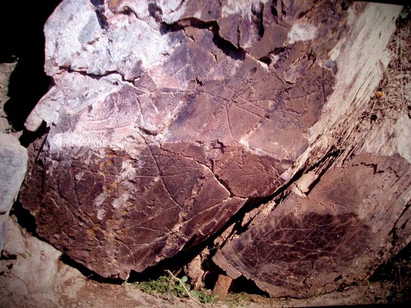 Sitios de arte rupestre prehistórico del valle del Coa y de Siega Verde