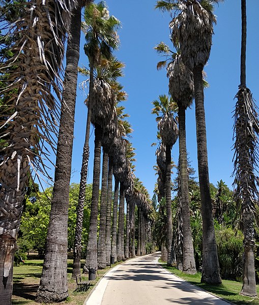 Jardin botanique tropical de Lisbonne