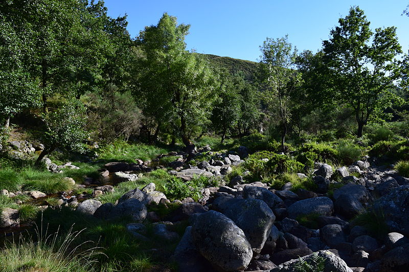 Parc naturel du Alvão