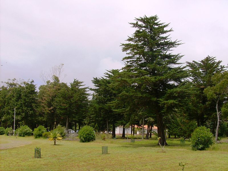 Reserva Florestal de Recreio de Valverde