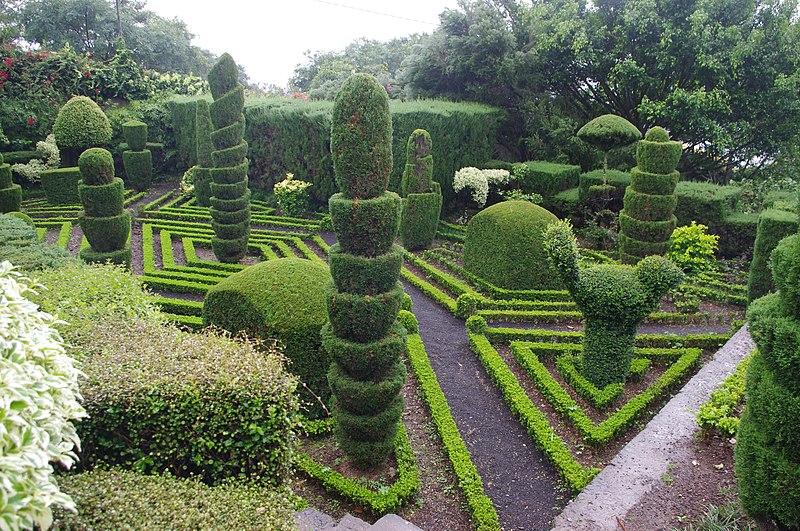 Madeira Botanical Garden