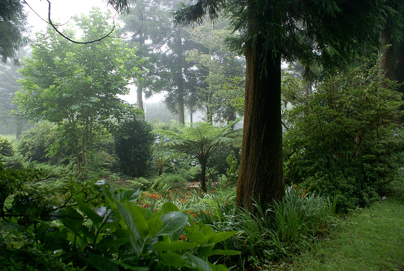 Reserva Florestal de Recreio das Sete Fontes