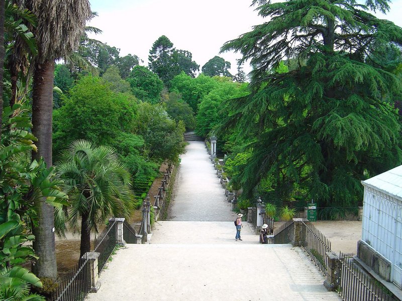 Jardín botánico de Coímbra