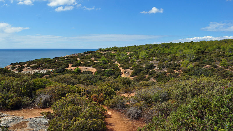 Praia da Marinha