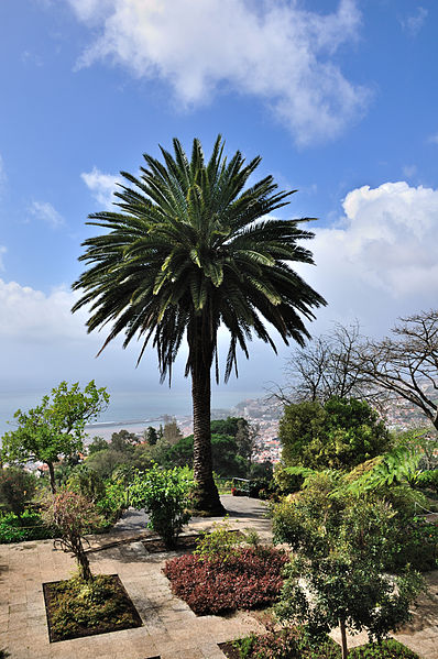 Madeira Botanical Garden