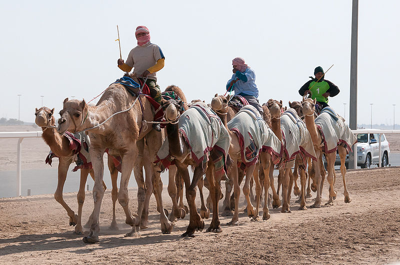 Al Shahaniyah