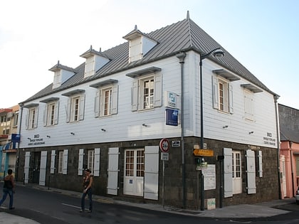 maison de la montagne saint denis