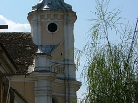 Cathédrale de la Transfiguration de Cluj-Napoca