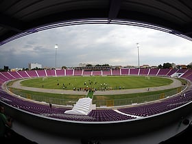 stadion im dana paltinisanu timisoara