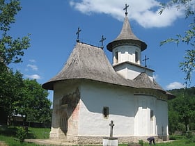 Cerkiew Podniesienia Krzyża Świętego w Pătrăuți