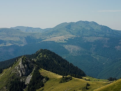 Parc naturel Monts Maramureș