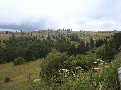 Tihuța-Pass