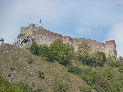 poenari castle arefu
