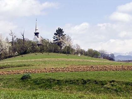 Biserica de lemn din Valea Sarii