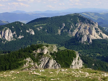 Hășmaș Mountains