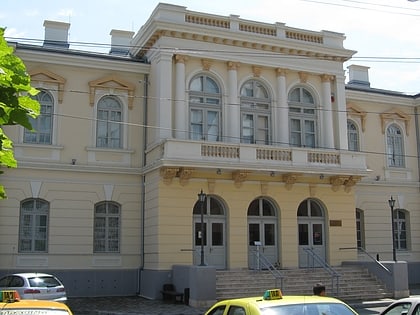 tulcea art museum tulcza