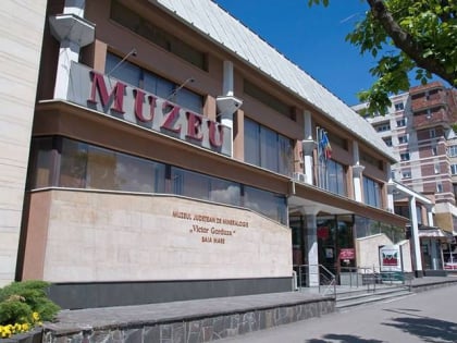 muzeul de mineralogie baia mare