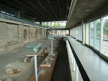 roman agora museum konstanca
