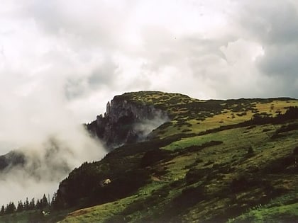 Bistrița Mountains