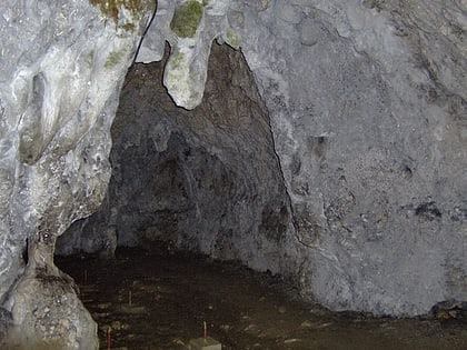 Peștera Dâmbovicioara