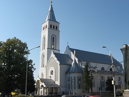 catedral de la asuncion de santa maria baia mare