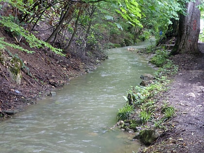 Canalul Timiș