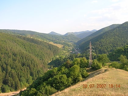 Tarcău Mountains