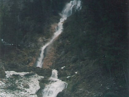 horses waterfall park narodowy rodna