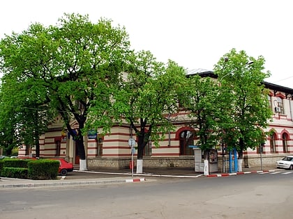 Bogdan Petriceicu Hasdeu National College
