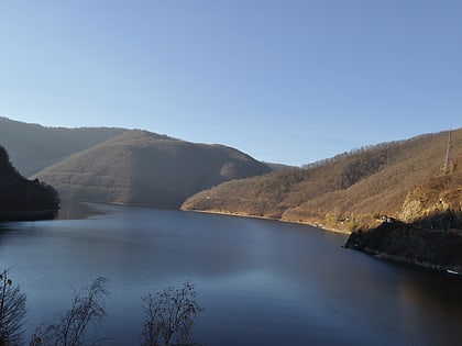 Lake Tarnița