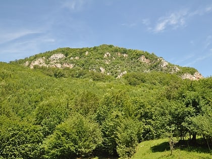 Piatra Roșie Dacian fortress