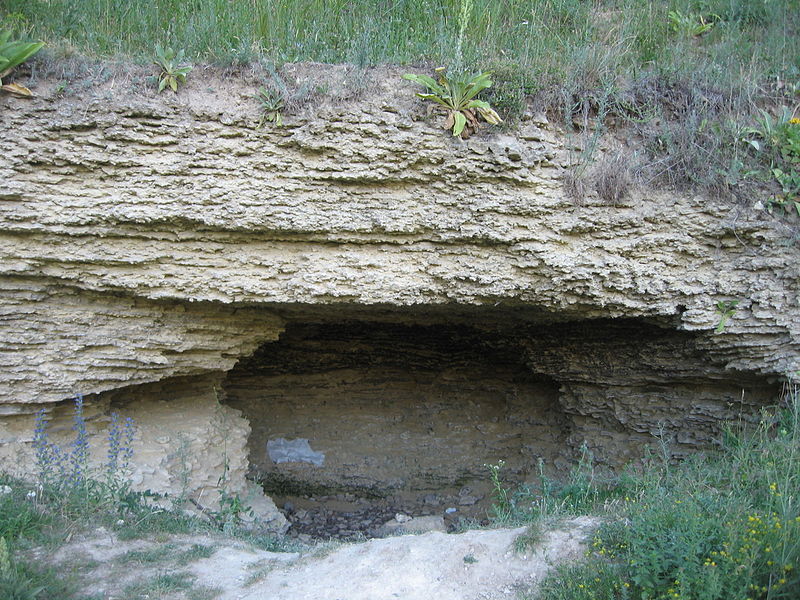 Repedea Hill Fossil Site