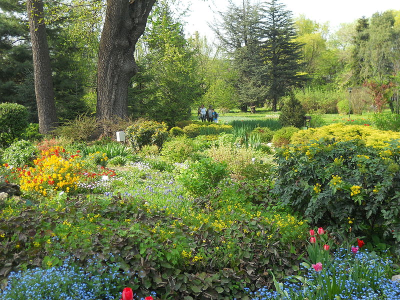 Bucharest Botanical Garden