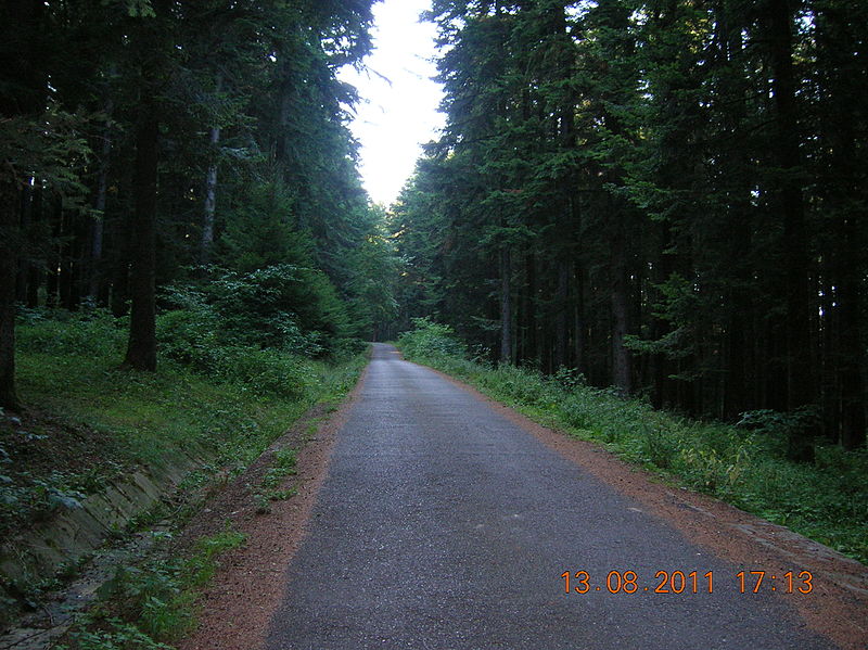 Parc naturel Vânători-Neamț