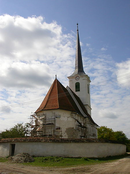 Ansamblul bisericii reformate din Daia