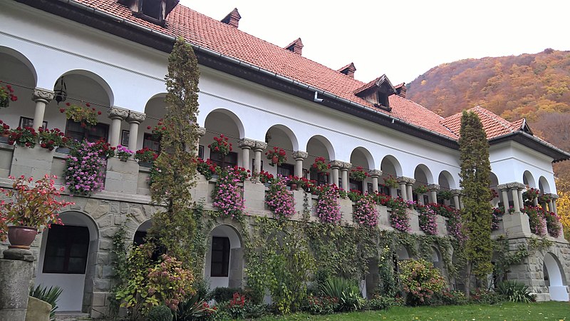 Turnu Monastery