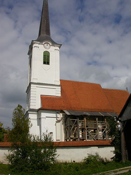 Ansamblul bisericii reformate din Daia