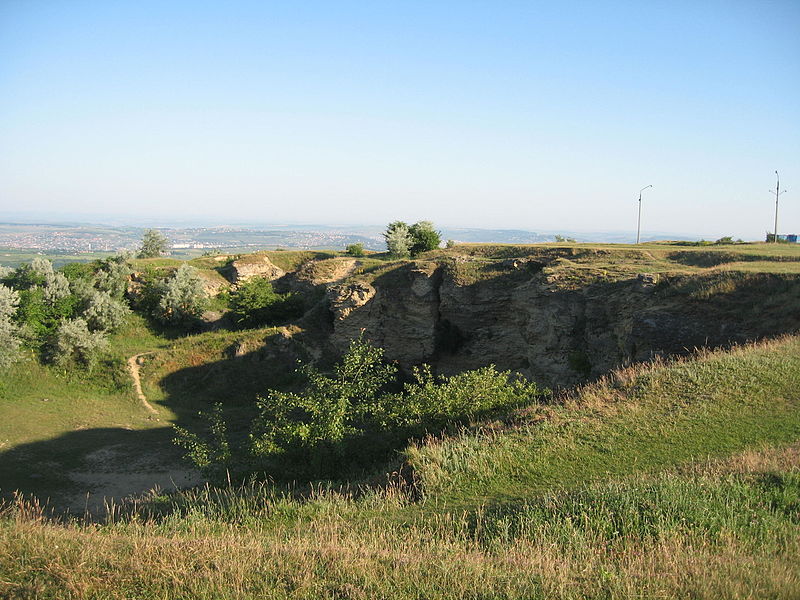 Repedea Hill Fossil Site