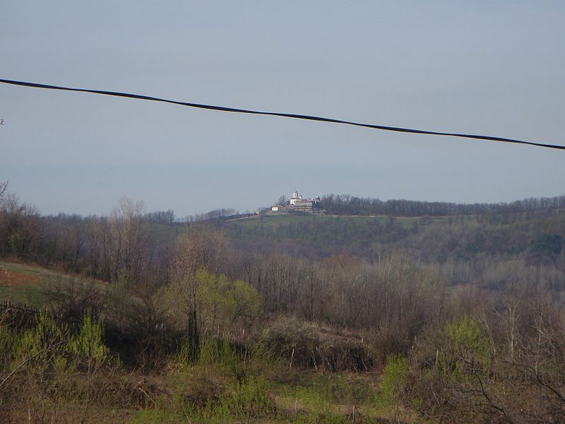 Dealu Mare Monastery