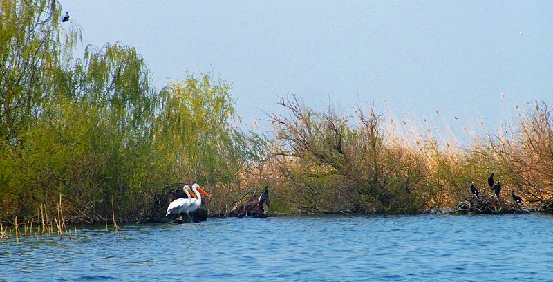 Biosphärenreservat Donaudelta