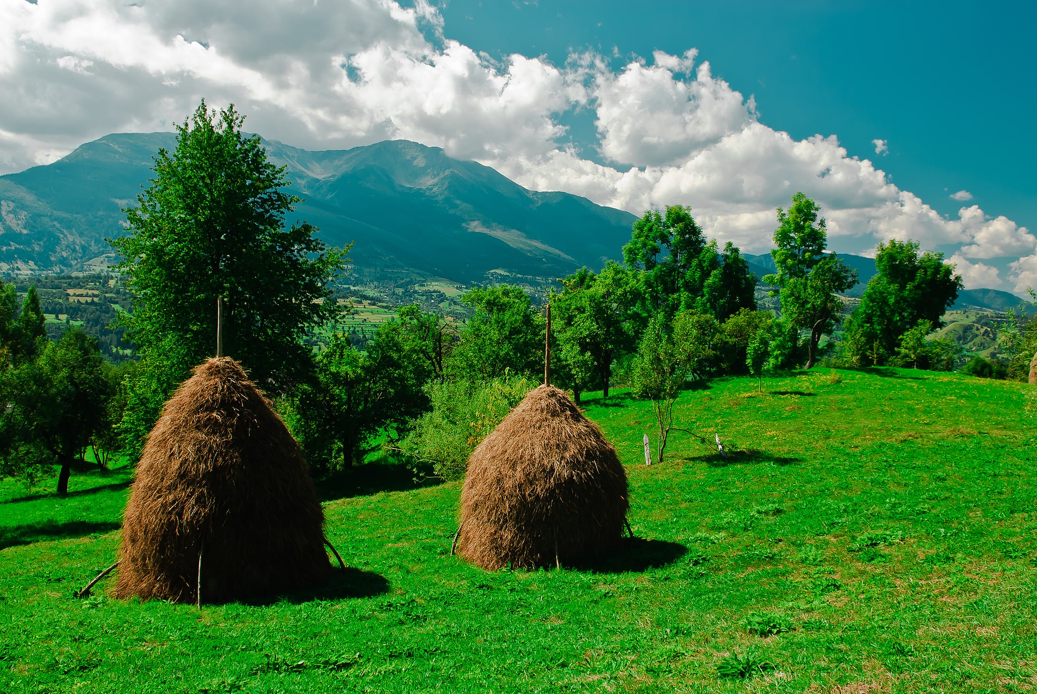 Rodna Mountains National Park, Romania