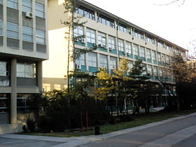 University of Novi Sad Faculty of Technical Sciences