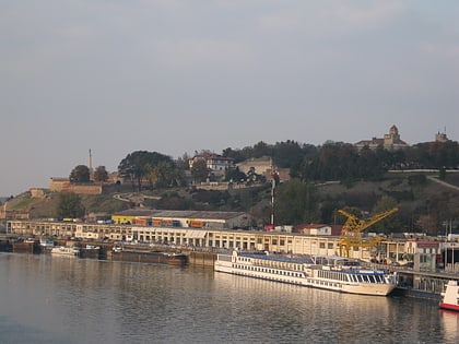 port de belgrade