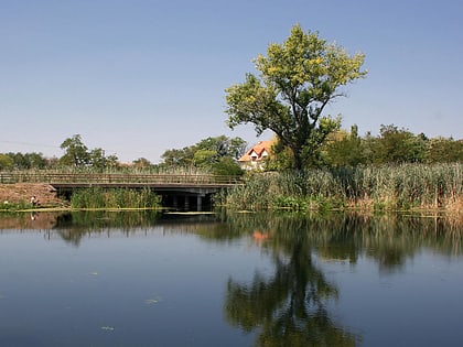 Jegrička Nature Park