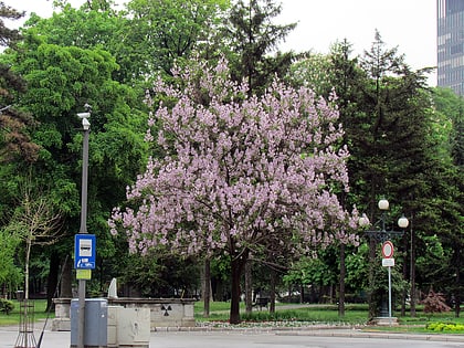 pioneers park belgrade