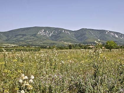 Homolje mountains