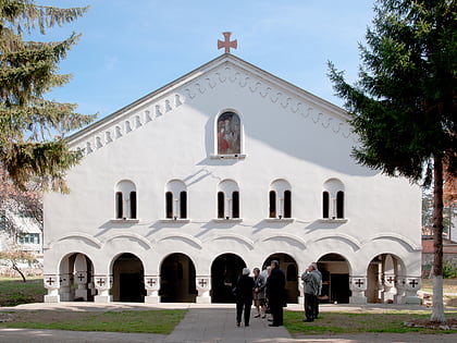 Église de la Nativité-du-Christ de Pirot